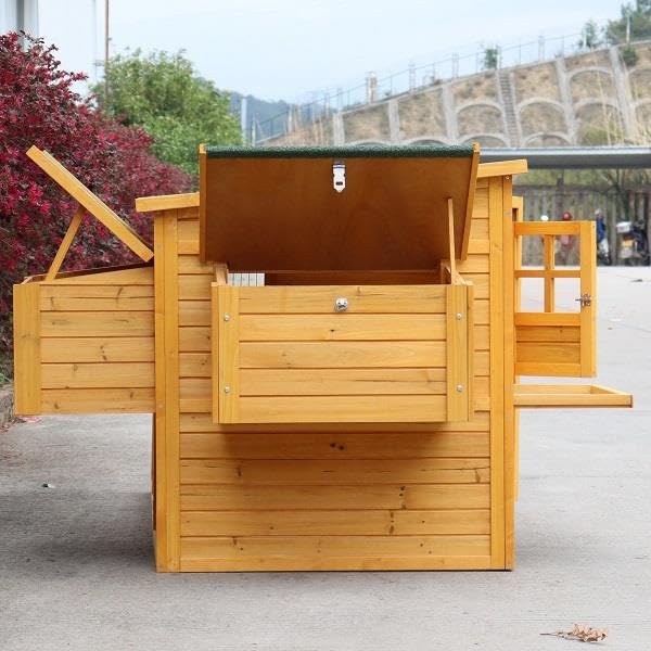 Pollaio in Legno Sebright XXL Senza Fondo | Mod. SXXL Anti Predatore