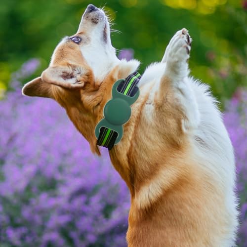 jojofuny 2Er Pack Silikon SchutzhüLle Kompatibel Mit Air Tag FüR Haustier Kratzfeste Anti-Verlust Abdeckung FüR Hundemarken Leichte SchutzhüLle FüR Haustierhalsband