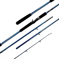 Vara de Pesca Arcadium, Carbono IM6, 2,40m, Carretilha, 30-60 lbs, 2 Partes