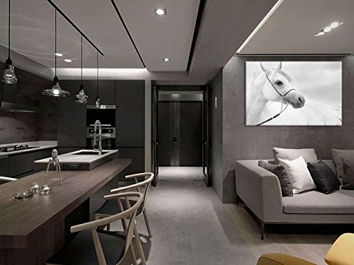 White Horse Wall Art Of Animal Prints On Canvas Black And White Pictures For Living Room Decor Wall Artwork Hd Prints For Home With Framed Stretched Ready To Hang… #TOP4