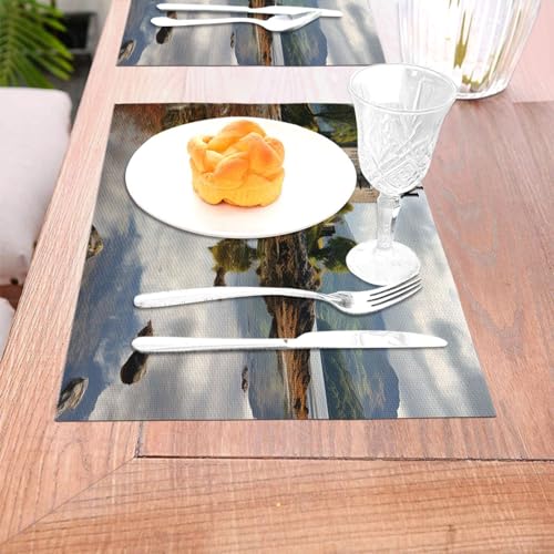 Sets de table pour table de salle à manger antidérapants et faciles à nettoyer - 5