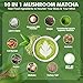 All Day Energy Bundle | Mushroom Coffee + Mushroom Matcha | 10 Mushrooms | Better Energy, Focus, Digestion, Immunity