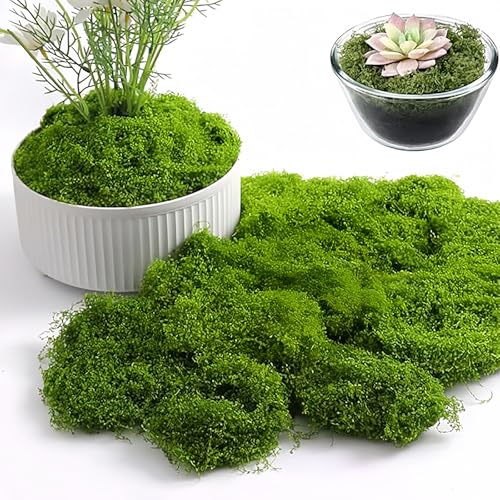 Premium Artificial Moss 14oz Fake Green Moss for Plants Indoor Realistic Faux Grass for DIY Craft Projects Fairy Garden Terrariums Potted Plant Decor Table Centerpieces & Garden Decor