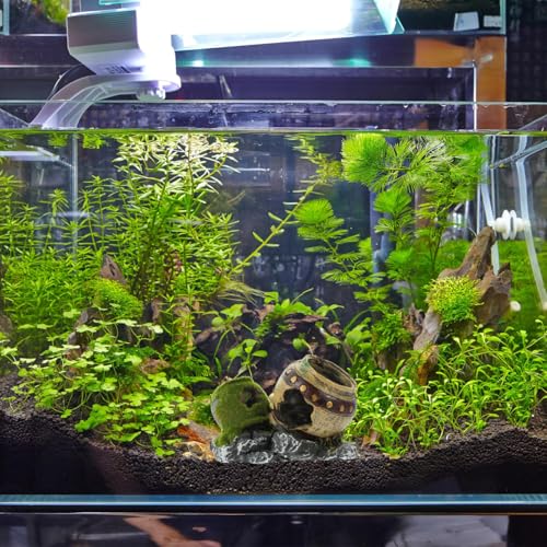Image of POPETPOP Fish Hiding Cave, Fish Tank Decor Glass Vase Aquarium Ruins Ancient Leaning Vase Rock Broken for Betta Marine Freshwater Fish Tank Decoration