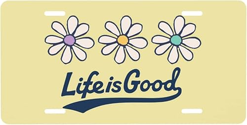 Life is So Good SND We Love Life - Placa de matrícula decorativa de aluminio, divertida placa de metal para automóvil de 6 x 12 pulgadas, cubierta