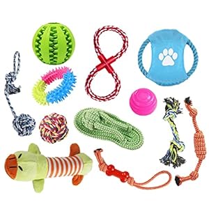 12-teiliges Hundespielzeug-Set, langlebiges Hundespielzeug, Seilspielzeug für kleine Haustiere, Welpenspielzeug-Set, lindert Langeweile und Stress für kleine, mittelgroße und große Hunde