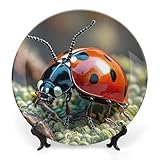 Haute qualité : nous sommes des assiettes en céramique de haute qualité. Le matériau de qualité professionnelle a été cuit sur une surface lisse sans couper les mains. Leurs formes bien conçues peuvent être facilement empilées et stockées sur vos armoires ou étagères tout en ajoutant de l'esthétique.