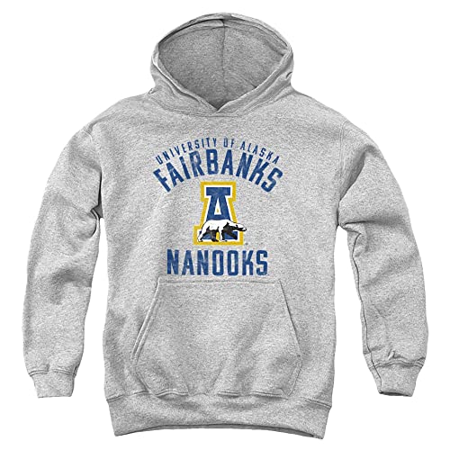 LOGOVISION University of Alaska, Fairbanks Official Nanooks Logo Youth Kids Pull-Over Hoodie Sweatshirt