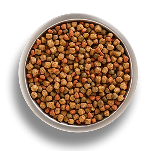 Nutrish 790050 Rachael Ray Premium Natural Dry Dog Food, Real Beef thumb #9