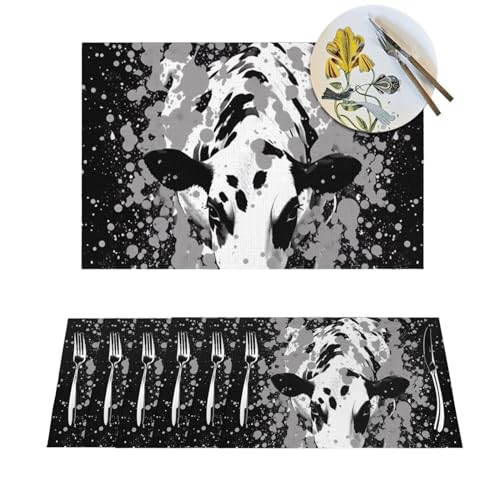 Sets de table en PVC durable lot de 6 protecteurs design bicolores - 2