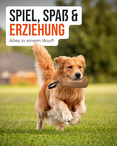 ZAUBERPFOTE Futterbeutel 'Joy' - Mit wasserfestem YKK® Reißverschluss - Apportierbeutel für Hundetraining - Ideal für Leckerlies – Praktische & robuste Leckerlitasche für Hunde