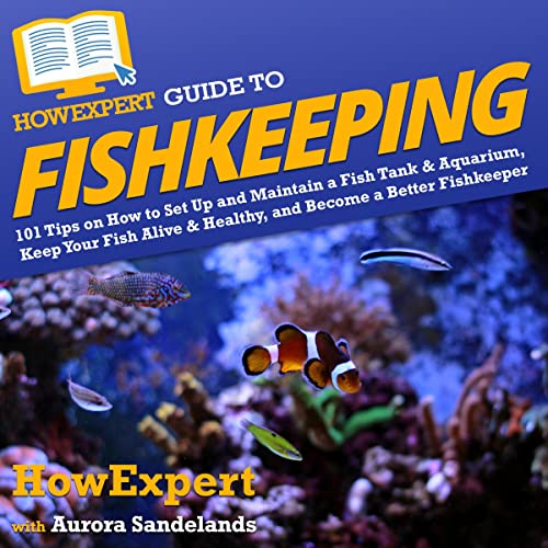 HowExpert Guide to Fishkeeping 101 Tips on How to Set Up and Maintain a Fish Tank