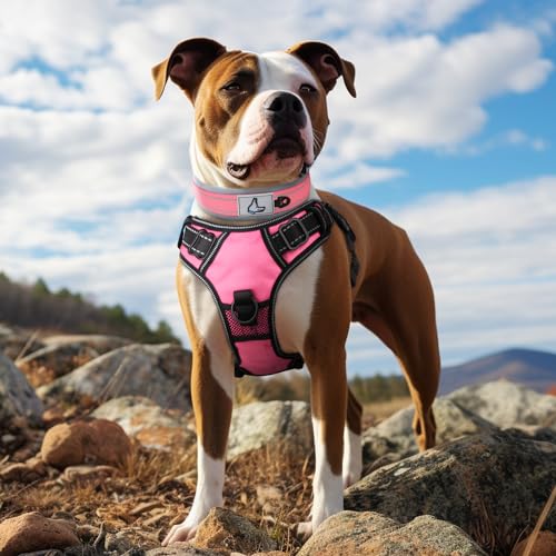 Joytale Reflective Dog Collar Large Dogs, Pink, Large (48cm-58cm) - Image 3