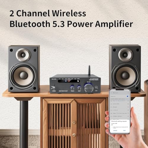 Image of Hi-Fi Amplifier, 2000W Mini Amplifier 2.0 Channel 100W*2 Bluetooth 5.3 TPA3116 Chip Stereo Audio Amplifier Digital Power Amplifier Opt /AUX Card Input
