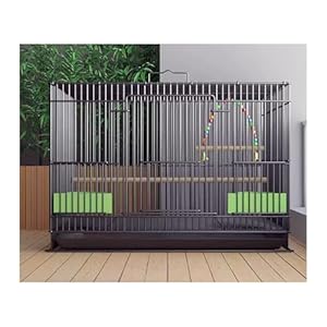 LICONG-2020 Großer Vogelkäfig mit Schaukel