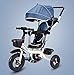 Aocean Bicicleta Triciclo Bebe Infantil NiñO +18 Meses Pedales con Capota Extraíble Plegable Barra Telescópica para Padres Triciclo de Empuje, Dark Blue