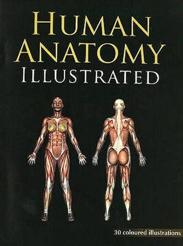 HUMAN ANATOMY ILLUSTRATED