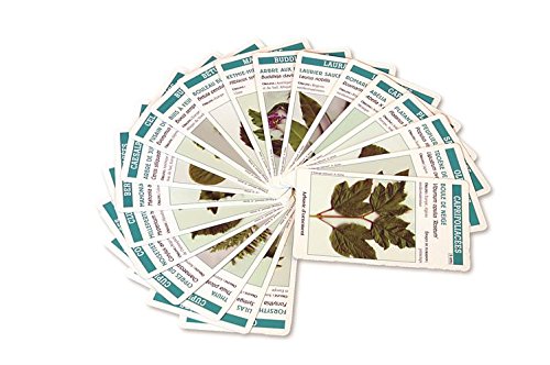 Télécharger Arbo'cartes : Jeu de reconnaissance des arbres, conifères et arbustes d'ornement Gratuit