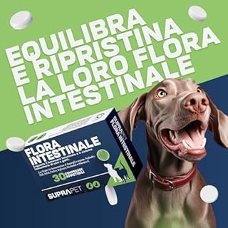 Suprapet Flora Intestinale Cani e Gatti 30 compresse - Fino a 2 Mesi di Fornitura, Con Fermenti Lattici, Probiotici, Vitamina C - Per Intestino e Flora Batterica