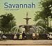 Savannah Then and Now®