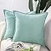 Madizz Juego de 2 Suave Felpilla Decorativo Funda de cojíns Lujo Estilo Fundas de Almohada para el sofá Dormitorio Verde Azulado Claro Cuadrado 65 x 65 cm