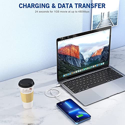Image of iPhone 14 13 12 11 Fast Charger [Apple MFi Certified] 2Pack PD USB C Wall Charger Type C Power Adapter Lightning Cable Cord Compatible with Apple iPhone 14 /13 Pro /13 /12 /11 /11Pro Max /XS /XR /X /8 /SE /iPad