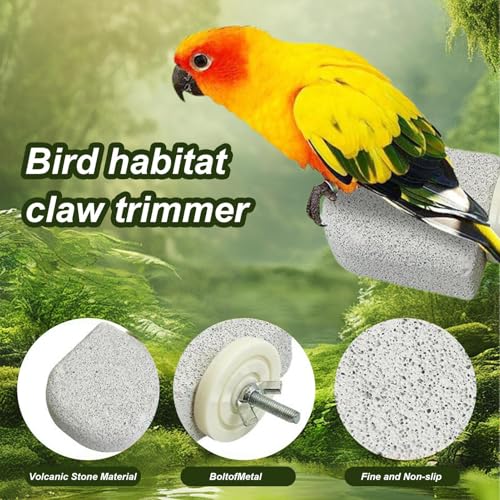 Perchoir à oiseaux pour cage extérieure : accessoire d'exercice calopsitte - 7