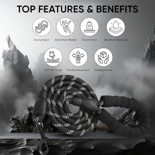 Image of Heavy Duty Dog Leash for Walking & Training 5ft | Reflective Rope Leash with Padded Handle | Anti-Pull Strong Dog Lead for Medium & Large Dogs | 360 Swivel Hook | Night Safety (Black, 5 FT)