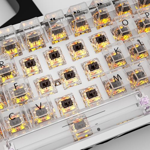 Image of Zhouwang 90 Pcs Crystal Brown Tactile Mechanical Keyboard Switches Kit | Pre-Lubed Hot-swap Switches,Solid rebound /Responsive 3 Pin Office Typing Feedback /Smooth feel for Mechanical Gaming Keyboards