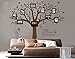 BDECOLL Familia grande como la rama en la pared Árbol Wall Decal Wall Sticker Cuarto de estar Nursery (El marco de la foto no está incluido) (Marrón)