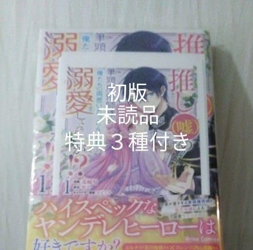 初版 推し〈嘘〉の筆頭魔術師様が 俺たち、両思いだったんだね と溺愛してくるん が ？1巻 特典