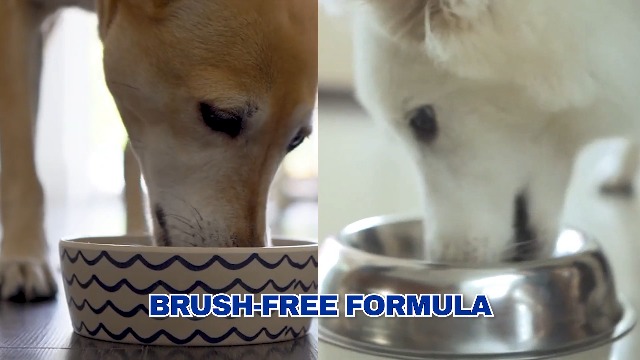 Dog Dental Powder - Teeth Cleaning Powder for Dogs - Dog Dental Care - Plaque & Bad Breath Off P-owder D-og - D-ental Care Supplies for Small - Medium - Large Do-gs - image 8