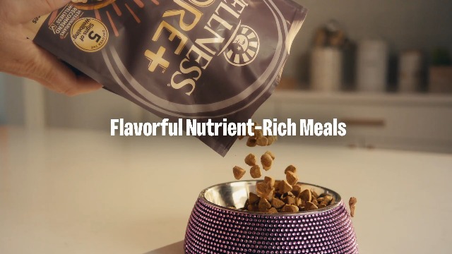 Amazon.com: Wellness CORE Small Breed Puppy Dry Dog Food, Grain