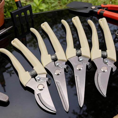Tijeras de jardinería profesionales de acero inoxidable miniatura 6