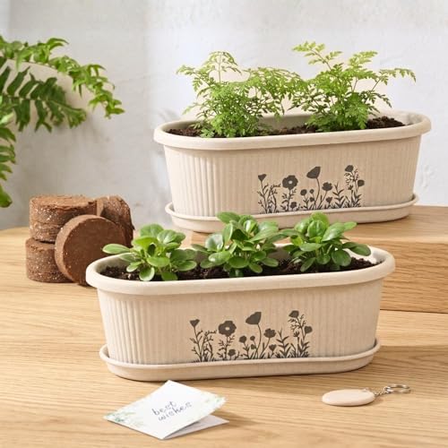 Image of Eha Earth-Friendly Printed Regalia Planters for Home Decor | 12 Inch, Pack of 2 with Growmix | Plant Gifts Made with Rice Husk Biocomposite | Flower Pot for Living Room| Sand Castle