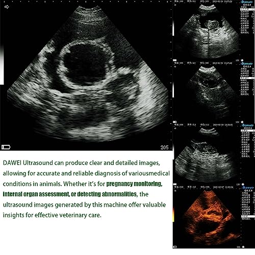 Dawei Vet Ultrasound Machine Portable Veterinary Handheld Scanner B-Ultra Sound With 3.5Mhz Probe For Pregnancy Pig,Sheep,Dog,Cat Use thumb #5