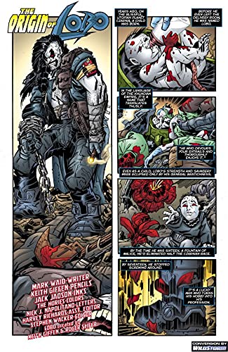 Cover of The Origin of Lobo #1 (DC Universe Origins)