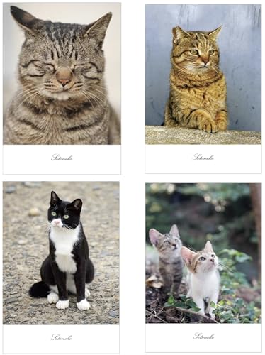 「フラワーガーデン 白猫とシャム猫」 アクリル画 SM キャンバス 原画 額なし フラワーガーデン 白猫とシャム猫」 アクリル画 SM キャンバス