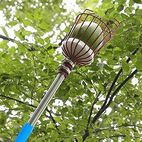 LekLai Raccoglitrice Di Frutta, Strumento Regolabile per Asta Di Mela, Arancia, con Cestino, per Raccoglitrice Di Alberi Di Mango, Pera, Limone, Ghianda/3.6M
