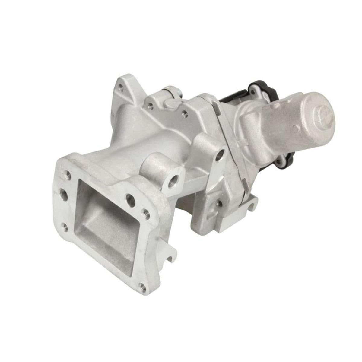 Delphi Technologies EG10437-​12B1 Vanne EGR