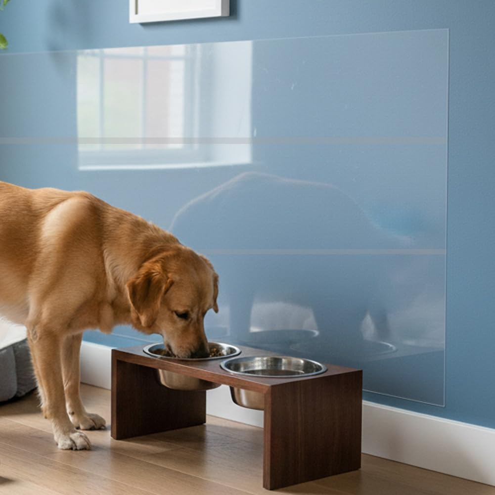 Film de protection mural électrostatique pour protéger les murs des chiens et des poubelles