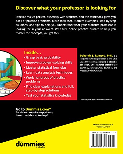 Statistics Workbook For Dummies with Online Practice - Image 2