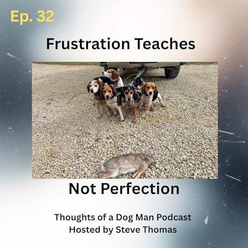Frustrations Teach, Not Perfection