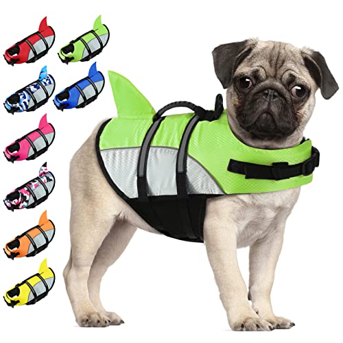 5 Best Life Jackets for Cats to Keep Your Feline Friend Safe and Stylish
