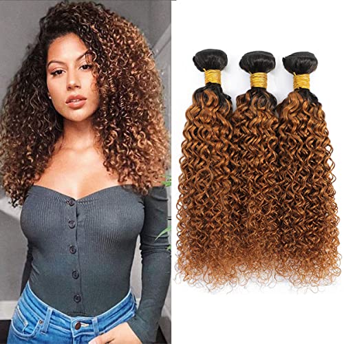 Ombre Human Hair Kinky Curly Brazilian Hair T1B/30 Brown 3 Bundles 8A Grade Soft Brazilian 100% Human Hair For Black Woman Hair Extensions (20"22"24") Inch