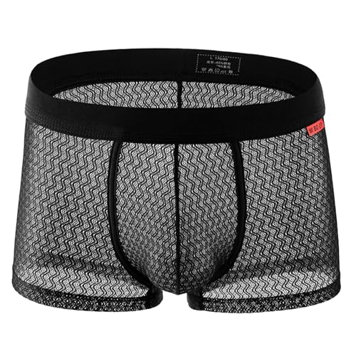 Evankin Mens Sexy Boxer Briefs Mesh Breathable Underwear See Through Lingerie Panties Trunks with Bulge Pouch