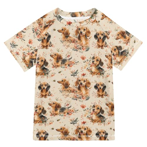 KLL Little Girls Bathing Suitt Short Sleeve Rashguard Girls 3T Cartoon Cute Dachshund Dog Brown