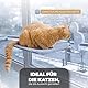 SEELENTIER® Katzen Fensterliege Hängematte Katze Katzenbett Fenster Katzen Hängematte Fenster Katzen Hängematte Hängematte für Katzen bis zu 20 kg