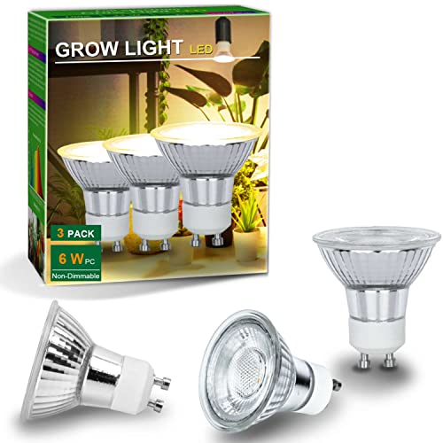 10 Best Grow Lights For Tomatoes 2023 Reviews
