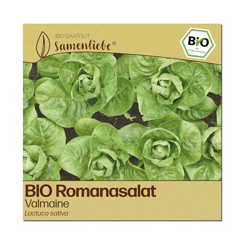 Samenliebe BIO Salat Samen | Romanasalat Valmaine - aufrecht - samenfestes BIO Saatgut